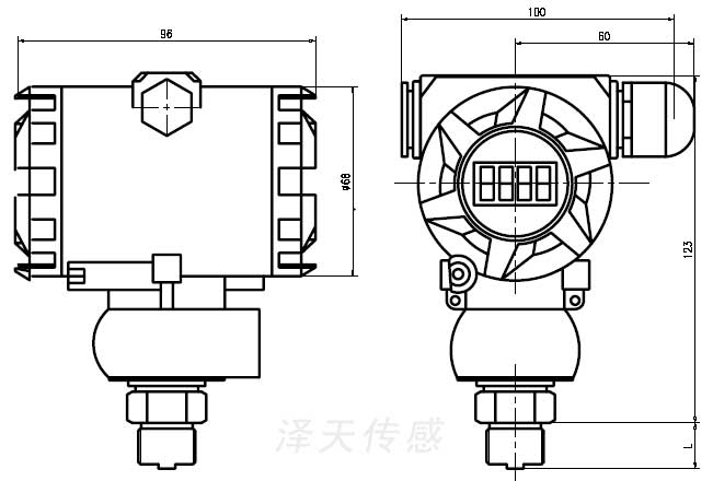 工業防爆壓力變送器2088外形尺寸CAD圖 工業防爆壓力變送器2088外形尺寸CAD圖